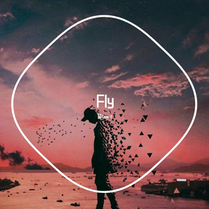 fly