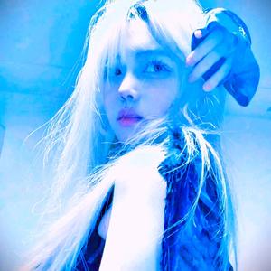 林中鸟（DJ版）