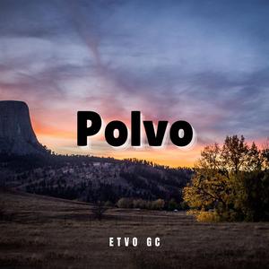 Polvo