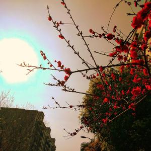 然后她和我一起去了游乐园