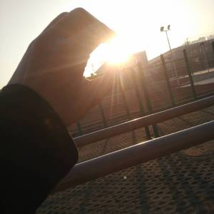 樱花盛开，然后你来了