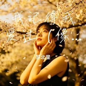 我记得我爱过 (像中枪一样) (Cover 大头针 Official)