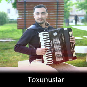 Toxunuslar