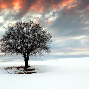 你的笑容总能治愈我的伤