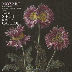 Violin Sonata in E Minor, K. 304:II. Tempo di minuetto