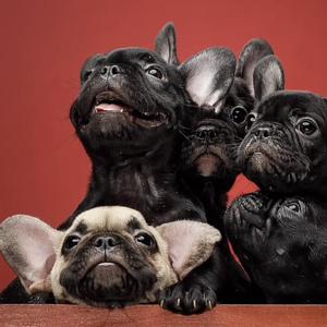 《新出师表》 伴奏