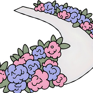 Hydrangea in The Rain