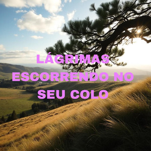 Lágrimas Escorrendo No Seu Colo