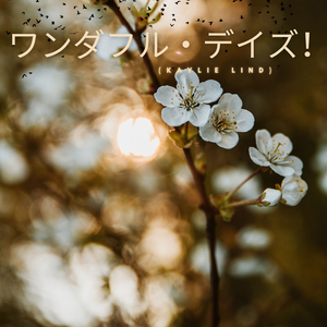 ワンダフル・デイズ！