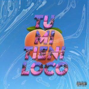 Tu Mi Tieni Loco
