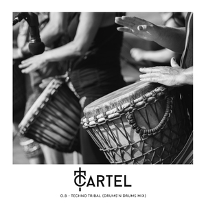 Techno Tribal (Drums'N Drums Extended Mix)