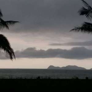 ᴋɪʟɪɢ（翻自 Aspidistrafly）