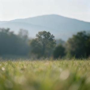 日子 (Cover 陈明)