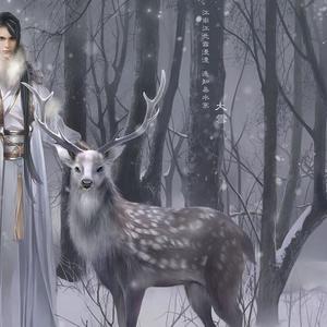 郑冰冰 - 轩辕剑之天之痕 竹笛演奏版