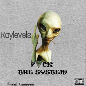Fvck the System