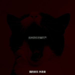 温和可爱的猫梦想