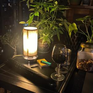 野菊花（赵照）（翻自 赵照）