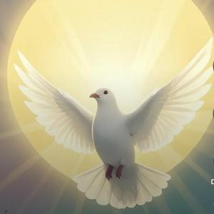 Rejoice Always