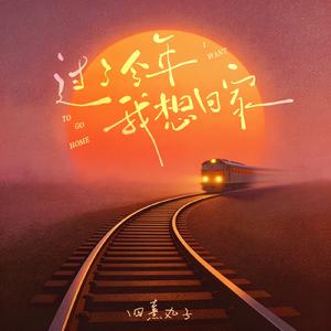 过了今年我想回家