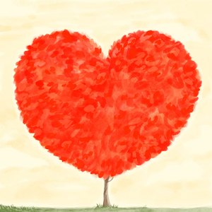 사랑이 물든 곳엔