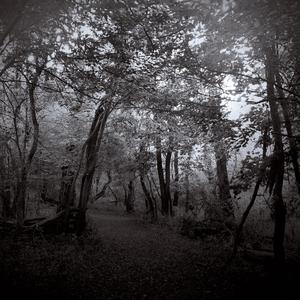 One Last Poor Decision