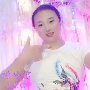 呼哈雷 伴奏