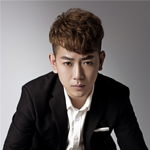 张迪-天下无敌(DJ版)(DJ版)