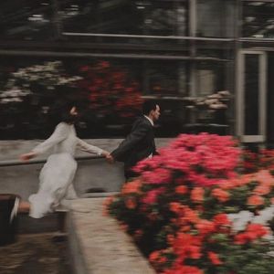 逃离伤心完美计划