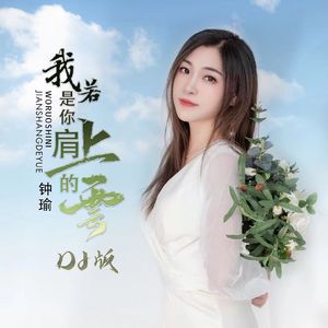我若是你肩上的云_Dj_沈念 女版
