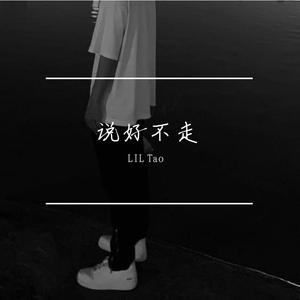 说好不走