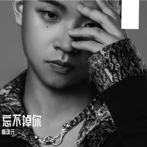忘不掉你