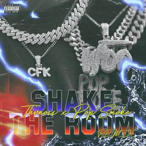 Shake The Room (Remix)