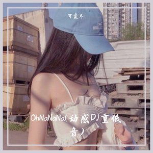 OhNaNaNa(动感DJ重低音)