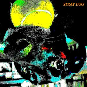 Stray Dog