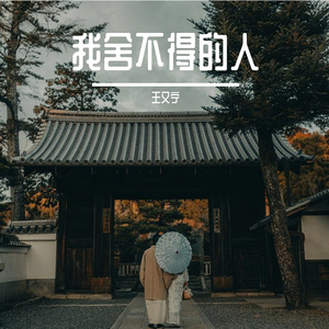 我舍不得的人