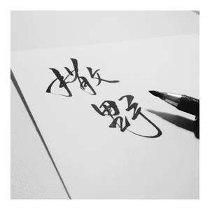 撒野（Cover 欸-61）