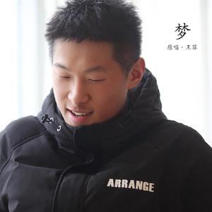 王菲-梦 伴奏（斐雷 remix）