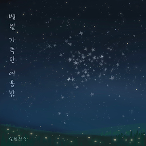 별빛 가득한 여름밤