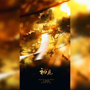 初见【再也不见版】（翻自 叶里）