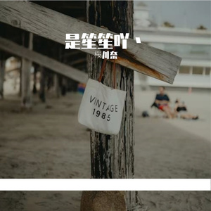 风铃摇曳的梦幻之景