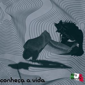 conheça a vida (DEMO)