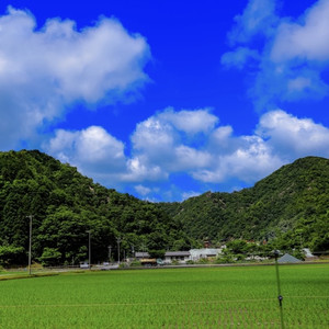 グラスホッパー