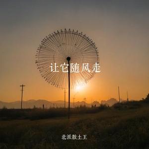 让它随风走