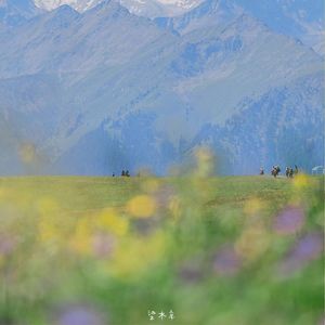 半生沧桑里的孤独回响