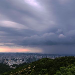 死在江南烟雨中