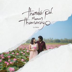 Tharaka pol minnum thamarayo