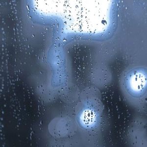 一生风雨
