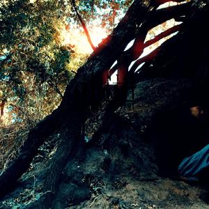 SMOKE THAT SHIT AWAY