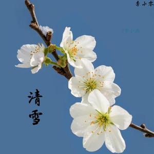 江南情 (Jiangnan Love)