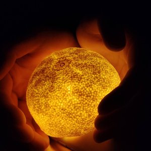 总有一天你会出现在我身边